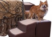 Pet Gear Easy Step Bed Stair Review