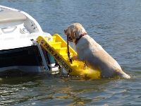 Paws Aboard Doggy Boat Ladder and Ramp Review