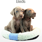 Finding the Best Dog Bed For Your Loved One This Year