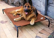 Coolaroo Elevated Pet Bed Review