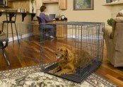 Midwest Select Triple Door Dog Crate Review